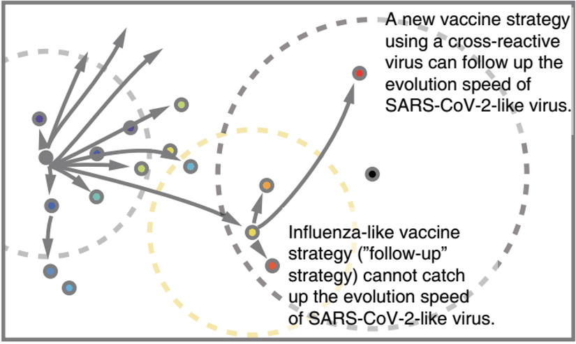 Antigenicity Prediction Model Image 1